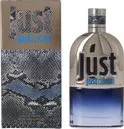 Just Cavalli Man 90ml Eau de Toilette für Herren – 100% Originales Parfum von Roberto Cavalli, Exklusive und Einzigartige Duftnote