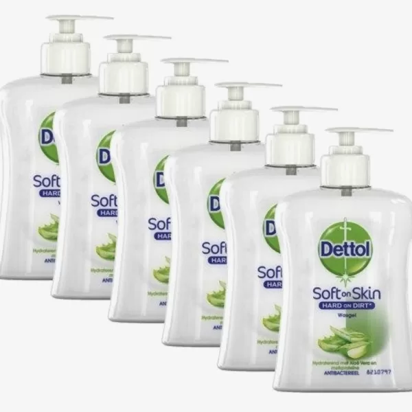 Dettol Handzeep Hydraterend met Aloë Vera - Antibacterieel - 250ml x6 - Dermatologisch Getest - Heerlijke Geur, Zorgt voor Grondige Reiniging