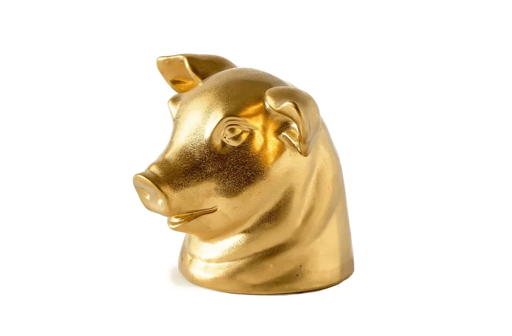 Pols Potten Pig Moneybox | Don't Eat Me, Save Me Spardose | Witzige Tierkopf-Dekoration & Geschenkidee | Lustige Spardose für Kinder & Erwachsene