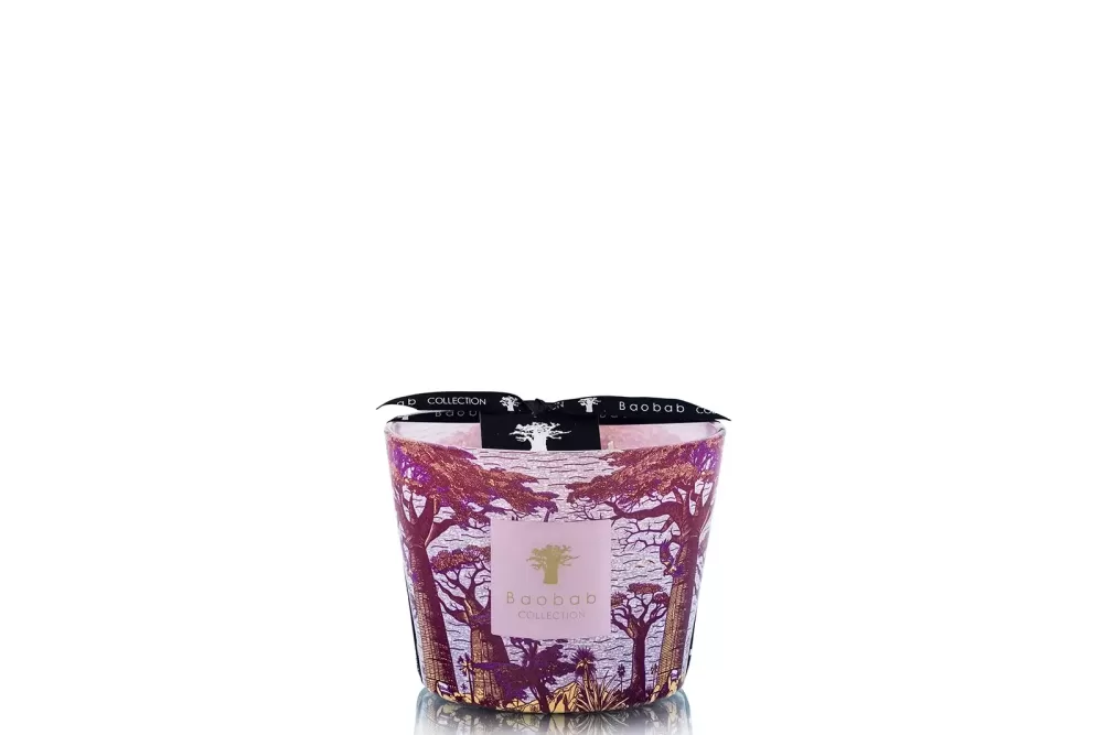 Baobab Sacred Trees Summer  Massasso | Limited Edition | Duftkerze Max 10