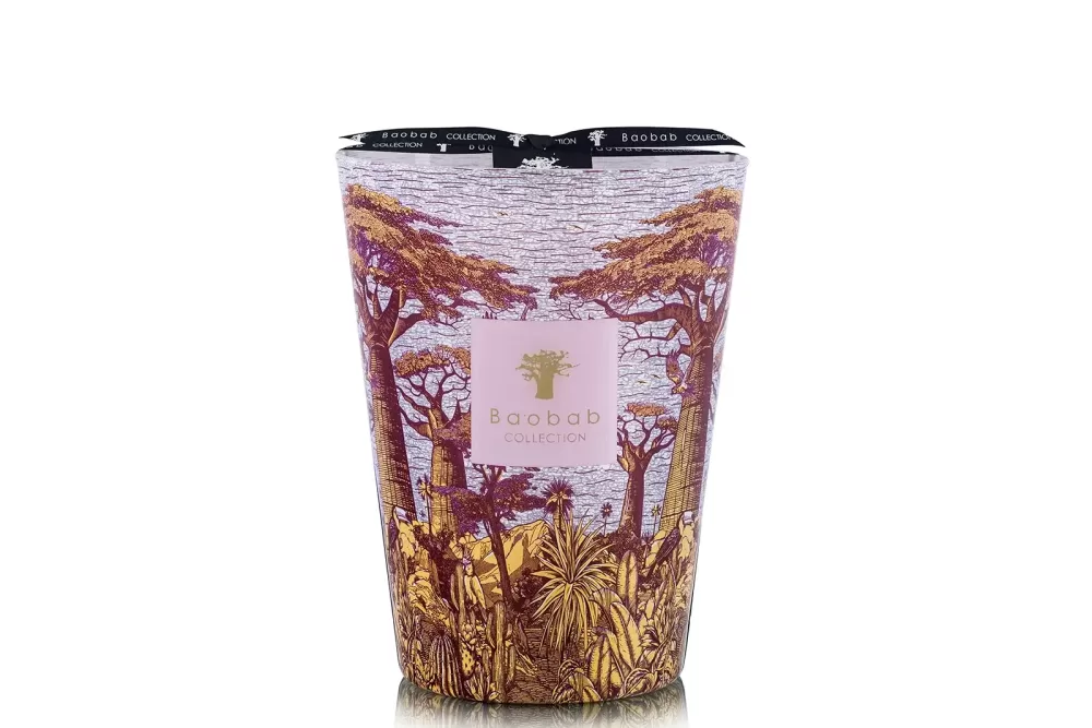 Baobab Sacred Trees Summer  Massasso | Limited Edition | Duftkerze Max 24