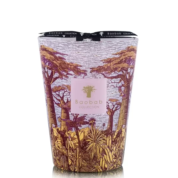 Baobab Sacred Trees Summer  Massasso | Limited Edition | Duftkerze Max 24