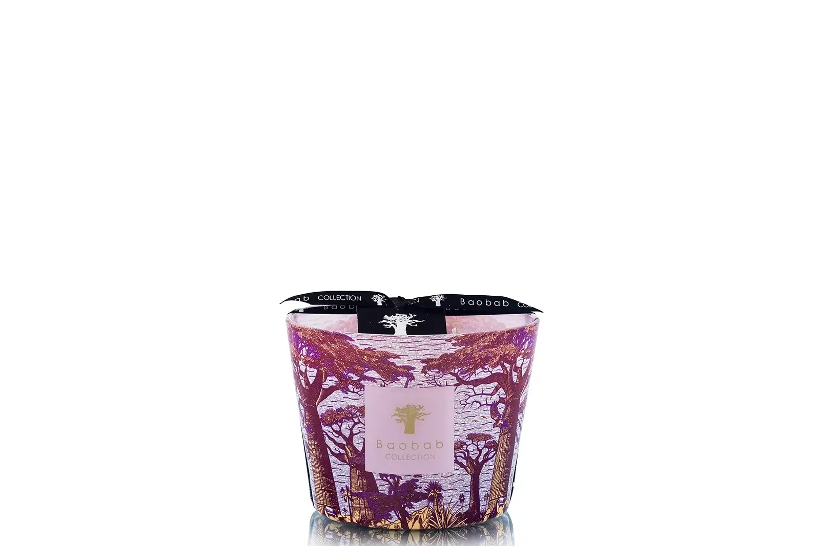 Baobab Sacred Trees Summer  Massasso | Limited Edition | Duftkerze Max 10 Baobab Sacred Trees Summer  Massasso | Limited Edition | Duftkerze Max 10