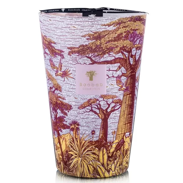 Baobab Sacred Trees Summer  Massasso | Limited Edition | Duftkerze Max 35 Baobab Sacred Trees Summer  Massasso | Limited Edition | Duftkerze Max 35