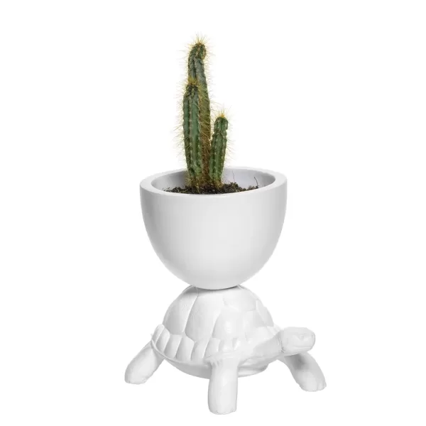 Qeeboo Turtle Pflanzengefäß XS | Weiße Schildkröte aus Harz | Dekoratives Pflanzgefäß | Turtle Carry Kollektion | Modernes Design für Ihr Zuhause Qeeboo Turtle Pflanzengefäß XS | Weiße Schildkröte aus Harz | Dekoratives Pflanzgefäß | Turtle Carry Kollektion | Modernes Design für Ihr Zuhause