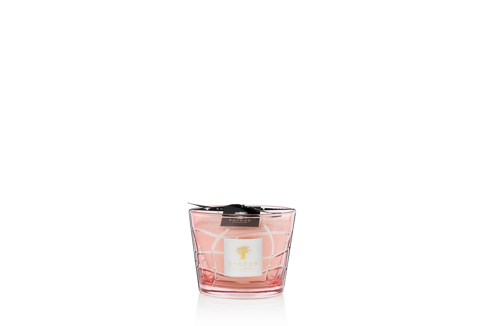 Baobab Waves Malibu Duftkerze | Limitiert | Blumig-fruchtig | Magnolie & Zitrus | Handgefertigt | Geschenkidee | 10 cm Baobab Waves Malibu Duftkerze | Limitiert | Blumig-fruchtig | Magnolie & Zitrus | Handgefertigt | Geschenkidee | 10 cm