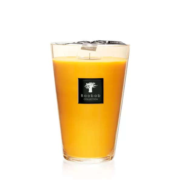 Baobab Zanzibar Spices Duftkerze | All Seasons | Gelb | Zimt & Kurkuma | Handgeblasen | 35 Max | Geschenk inklusive Tasche Baobab Zanzibar Spices Duftkerze | All Seasons | Gelb | Zimt & Kurkuma | Handgeblasen | 35 Max | Geschenk inklusive Tasche