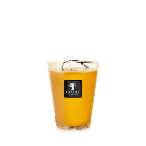 Baobab Duftkerze Zanzibar Spices - All Seasons, warm-süßlich mit Zimt & Kurkuma, mundgeblasenes Glas, Geschenkverpackung, 24cm Baobab Duftkerze Zanzibar Spices - All Seasons, warm-süßlich mit Zimt & Kurkuma, mundgeblasenes Glas, Geschenkverpackung, 24cm