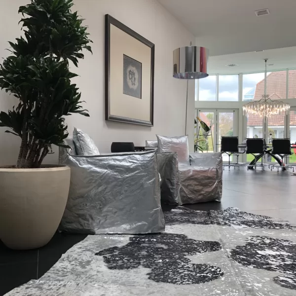 Novoline Designfell Silber - Hochwertiges Südamerika-Fell für Bett, Flur, Wohnzimmer & Badezimmer - Einzigartiges Muster & Farbe Novoline Designfell Silber - Hochwertiges Südamerika-Fell für Bett, Flur, Wohnzimmer & Badezimmer - Einzigartiges Muster & Farbe