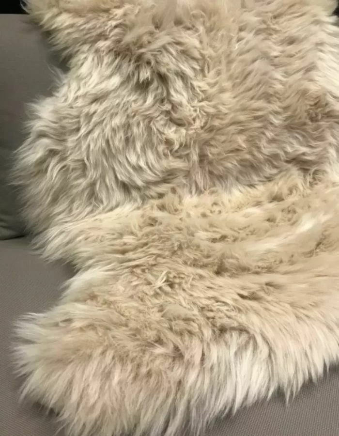 NOVOLINE Schaffell Champagner - Hochwertiges, weiches Fell für Stühle, Sofa & Bank - Stilvolles Wohnaccessoire in verschiedenen Farben NOVOLINE Schaffell Champagner - Hochwertiges, weiches Fell für Stühle, Sofa & Bank - Stilvolles Wohnaccessoire in verschiedenen Farben