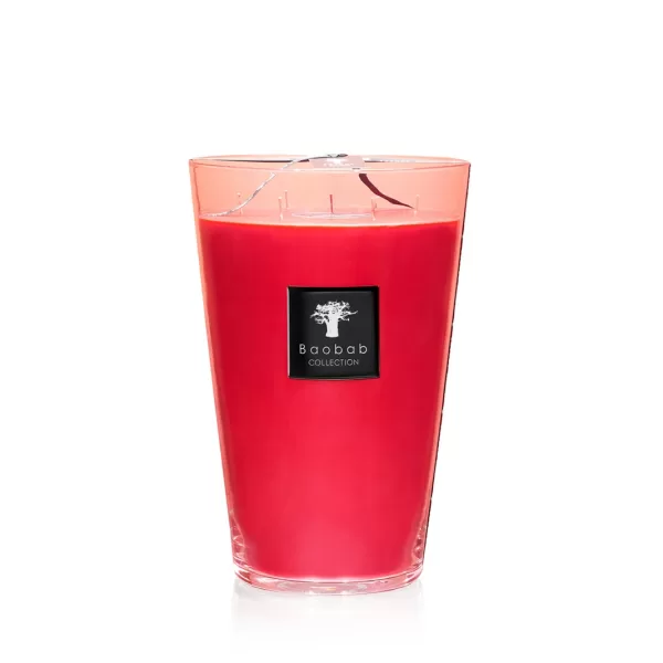 Baobab Duftkerze Maasai Spirit All Seasons | Amber & Zitrus | Handgeblasenes Glas | Geschenk inkl. Tasche | 35 Max Baobab Duftkerze Maasai Spirit All Seasons | Amber & Zitrus | Handgeblasenes Glas | Geschenk inkl. Tasche | 35 Max